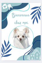 Cadre "Bienvenue chez moi"